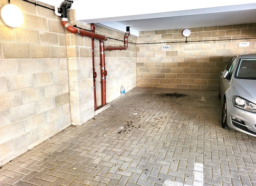 20220809 102549 Resized